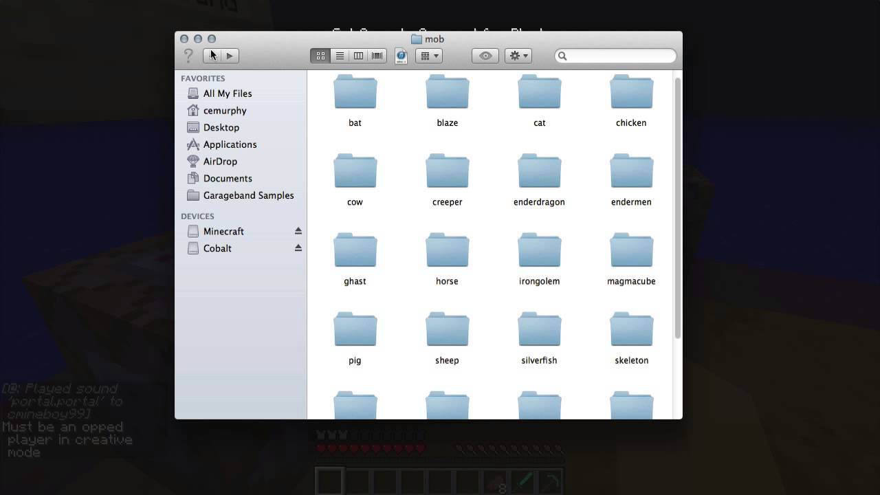 Minecraft 1.6 New Command and Effect!