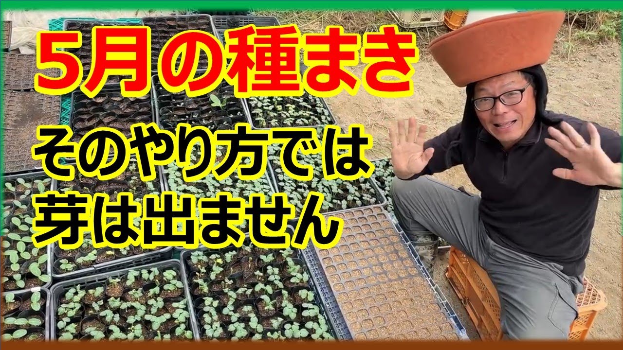 【5月の種まき】野菜の種の蒔き方の基本 - YouTube
