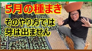 5月の種まき】野菜の種の蒔き方の基本 - YouTube