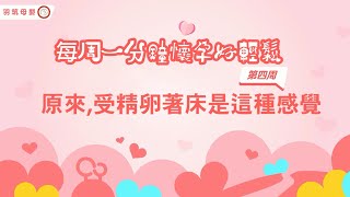 【第四周】原來,受精卵著床是這種感覺