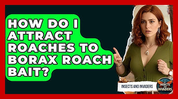 How Do I Attract Roaches To Borax Roach Bait? - Insects and Invaders