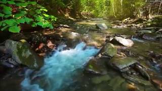 Healing code nature sounds with timer