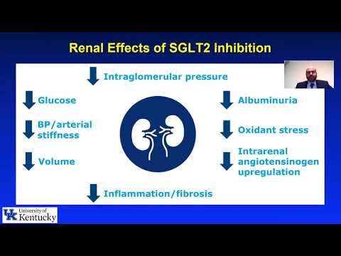 Video: Identifikace Nových Inhibitorů S Malou Molekulou Pro Nosič Solutů SGLT1 Pomocí Proteochemometrického Modelování