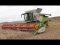 The New Claas Trion 750 + Convio 930 Header Harvesting Rye