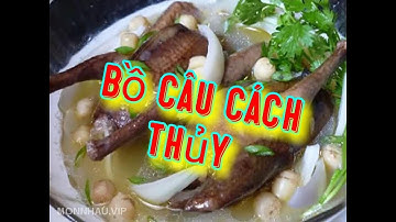 H&L TV: Bồ câu tắm nước  cốt dừa nấu cách thủy