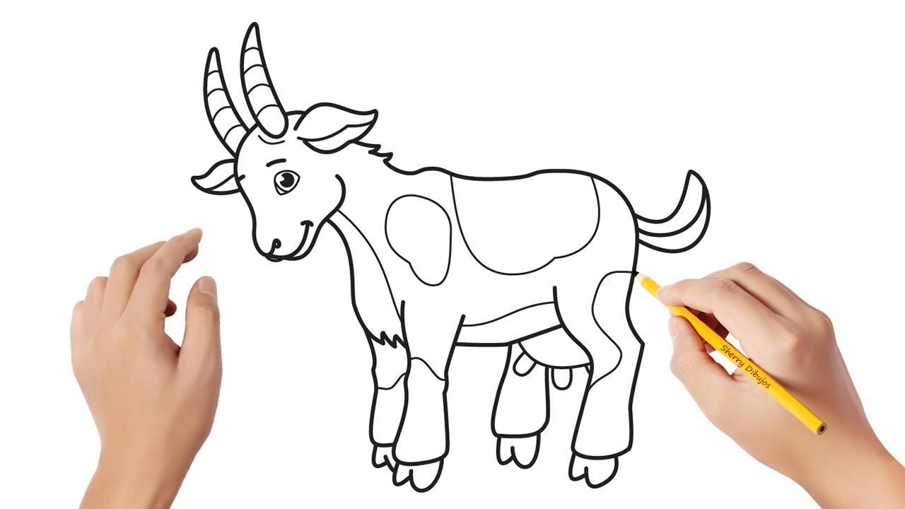 Como dibujar una cabra | Dibujos sencillos - thptnganamst.edu.vn