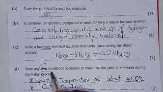 2024 Science P2 - Haber Process ( Ammonia) 