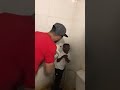 شكليطة يخاف من القطة شكليطة يخاف من القطة