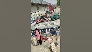 8 tons Garlic Grading Sizing Machine Supplier        #garlic #garlicmachine #agriculture