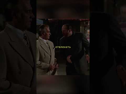 такой друг как поли есть у каждого | Сопрано 2 сезон 4 серия #сериал #сопрано #моменты