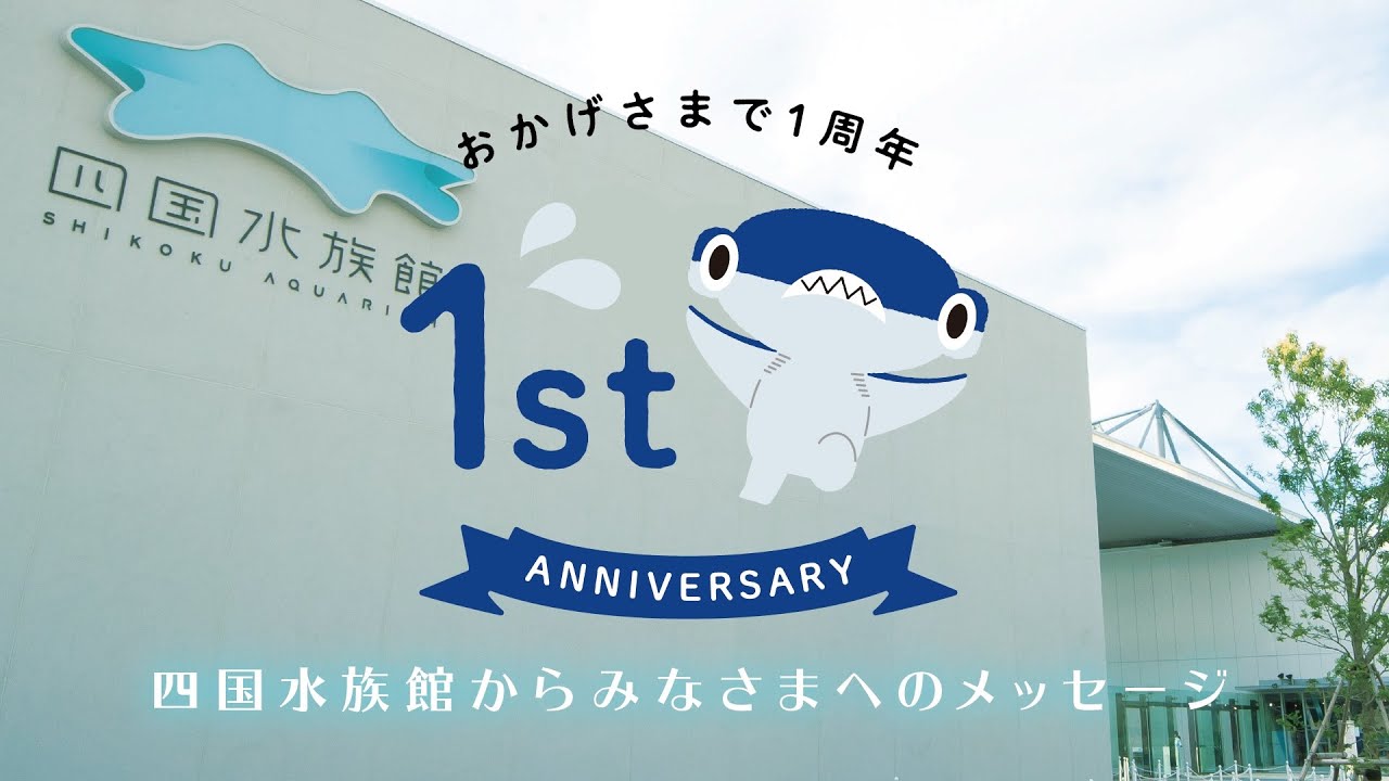【四国水族館】1周年記念スタッフありがとうムービー