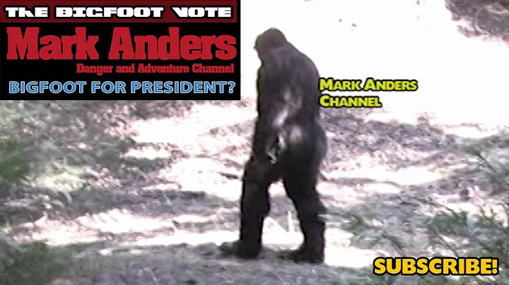 Sasquatch Idaho Bigfoot Video