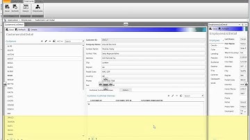 View Sync & SingleView Layout capabilities in DockShell Microsoft LightSwitch Shell Extension
