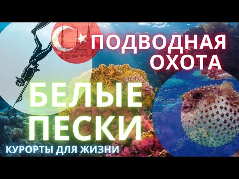 Видео: Подводная охота на Средиземном море. Белые пески.