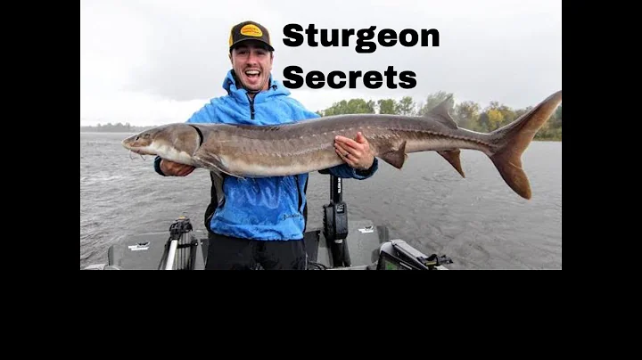 Unlock These Deadly Sturgeon Fishing Techniques