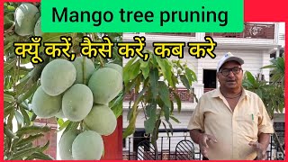 Mango Tree  Pruning:आम के पेड़ की Pruning क्यों करें कैसे करें कब करें by Grandpa Garden 205 views 2 days ago 10 minutes, 57 seconds