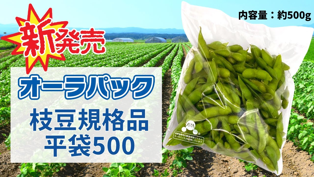 新発売】オーラパック枝豆規格品平袋500