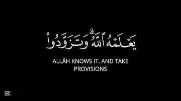 الحج أشهر معلومات | فهد البواردي | سورة البقرة.