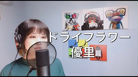 歌ってみた ドライフラワー 優里 Covered By Sakura 50天 女性が歌う Mp3 歌ってみた ドライフラワー 優里 Covered By Sakura 50天 女性が歌う Mp3