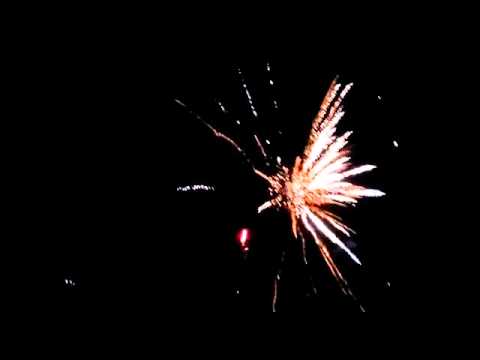 Pangu Fireworks - Patriot - Garden Party 2