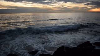 Venice Beach Waves