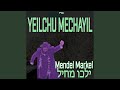 Yeilchu mechayil