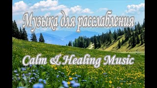 Музыка для расслабления 🌿 Глубокий покой и восстановление энергии | Calm & Healing Music
