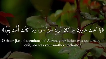 تلاوه تدبريه عذبه ۞ فَحَمَلَتۡهُ فَٱنتَبَذَتۡ بِهِۦ مَكَانٗا قَصِيّٗا | القارئ حاتم المالكي