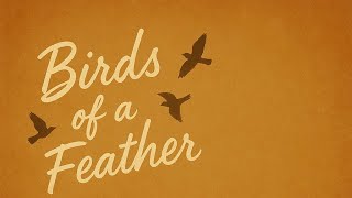 Birds of a feather-Billie Eilish