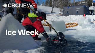 Watch police divers train for icy water operations