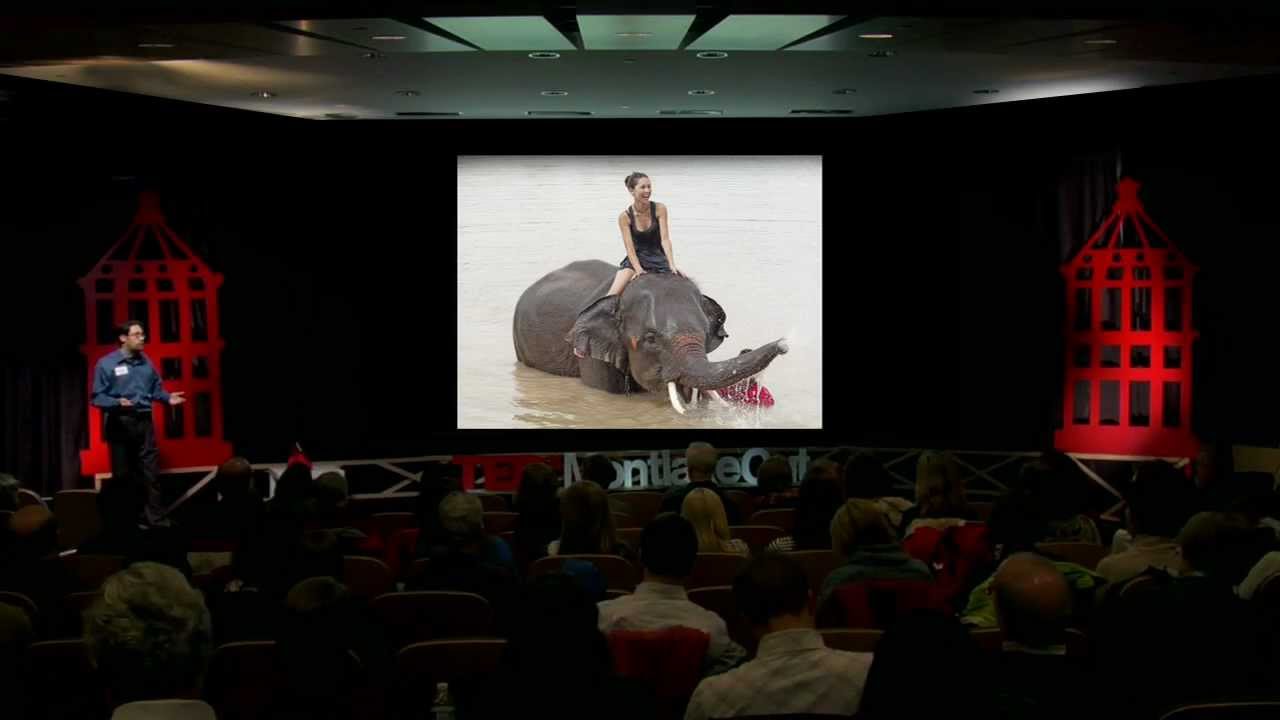 The Elephant, The Rider and You: Stef Frenzl at TEDxMontlakeCut