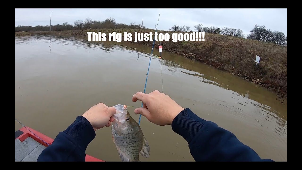 You better be using this rig at spillways! Pre-Spawn crappie absolutely  love it! Creek February 2024 