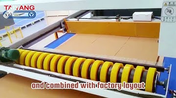 TAI YANG Intelligent Conveyor System, the Right Choice for Intralogistics