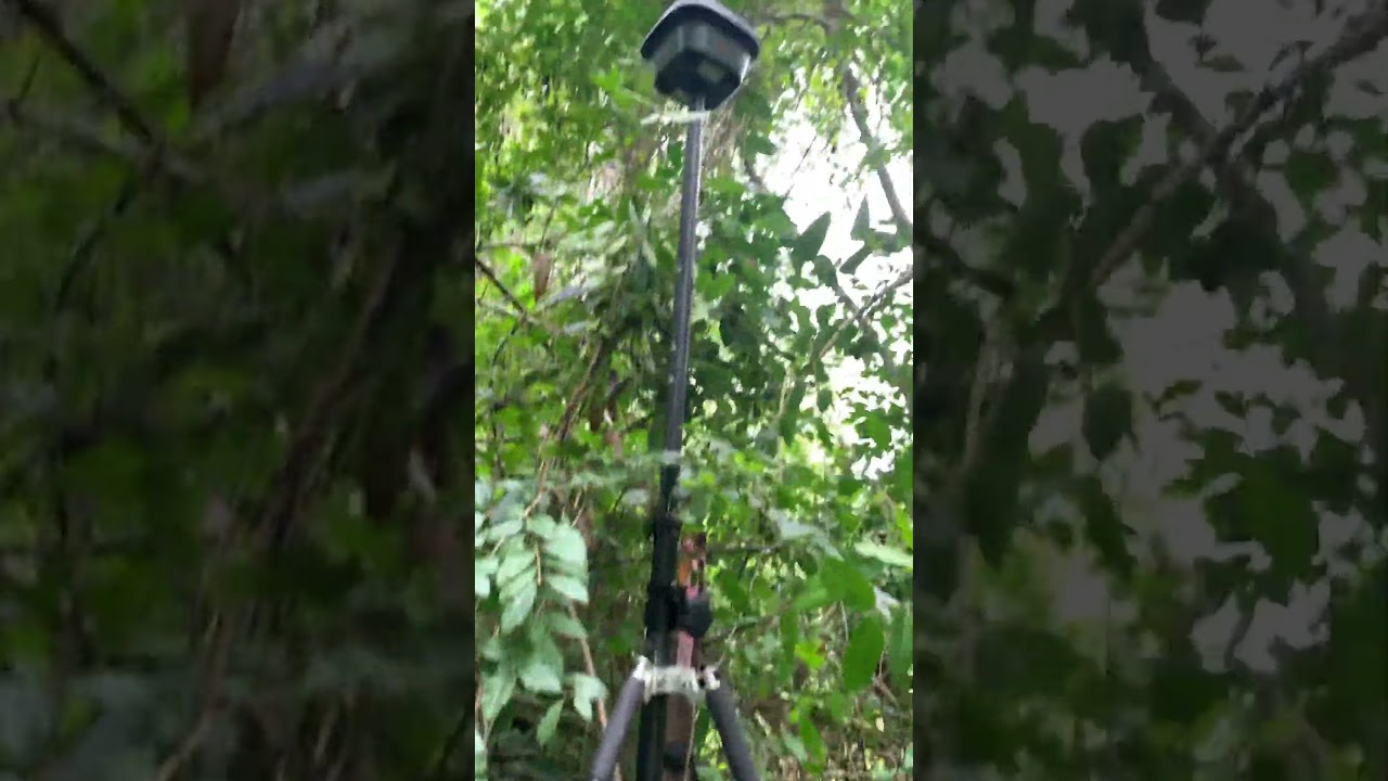 WOW !!!! - Leica GPS detects many satellites under thick tree canopy 