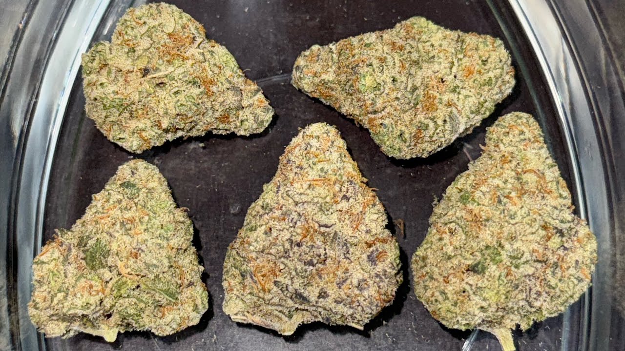 Обзор Miracle Valley Mac 1+ T25