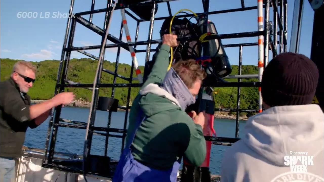 Getting Pooped On By A Huge Shark 6000 Lb Shark Shark Week YouTube getting-pooped-on-by-a-huge-shark-6000-lb-shark-shark-week-youtube