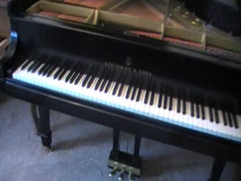 Steinway Walk Around