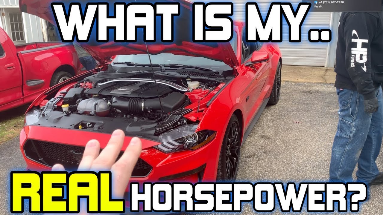 No B.S | This Is What A 2018-2019 Mustang Gt Actually Makes On A Dyno