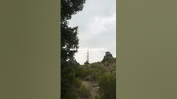 {وَإِذَا مَسَّ الْإِنْسَانَ الضُّرُّ دَعَانَا لِجَنْبِهِ أَوْ قَاعِدًا أَوْ قَائِمًا..}#سورة_يونس 12