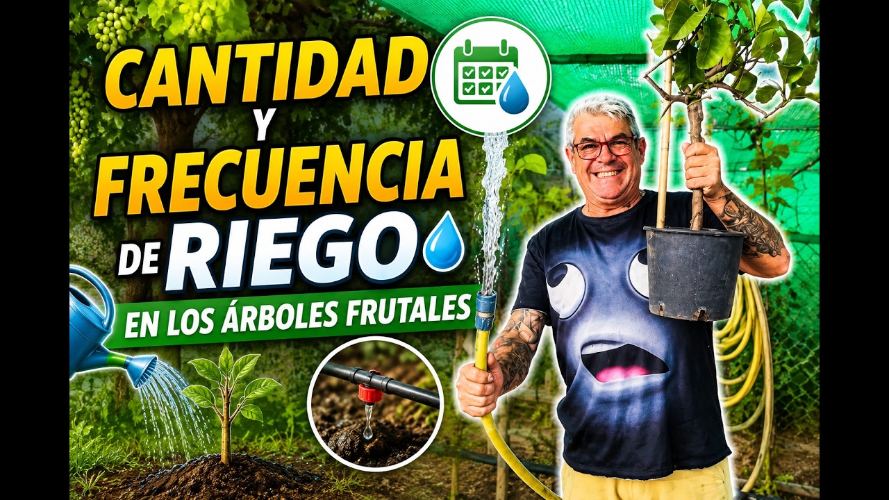 Cantidad y frecuencia de riego en arboles frutales