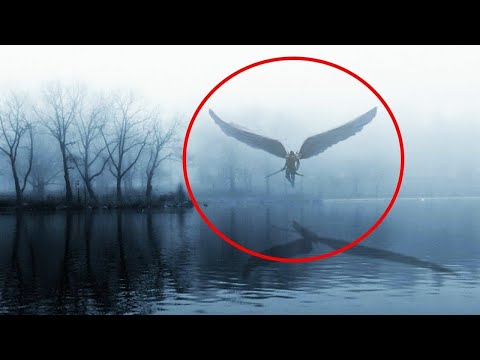 Video: Koliko često anđeli lete?
