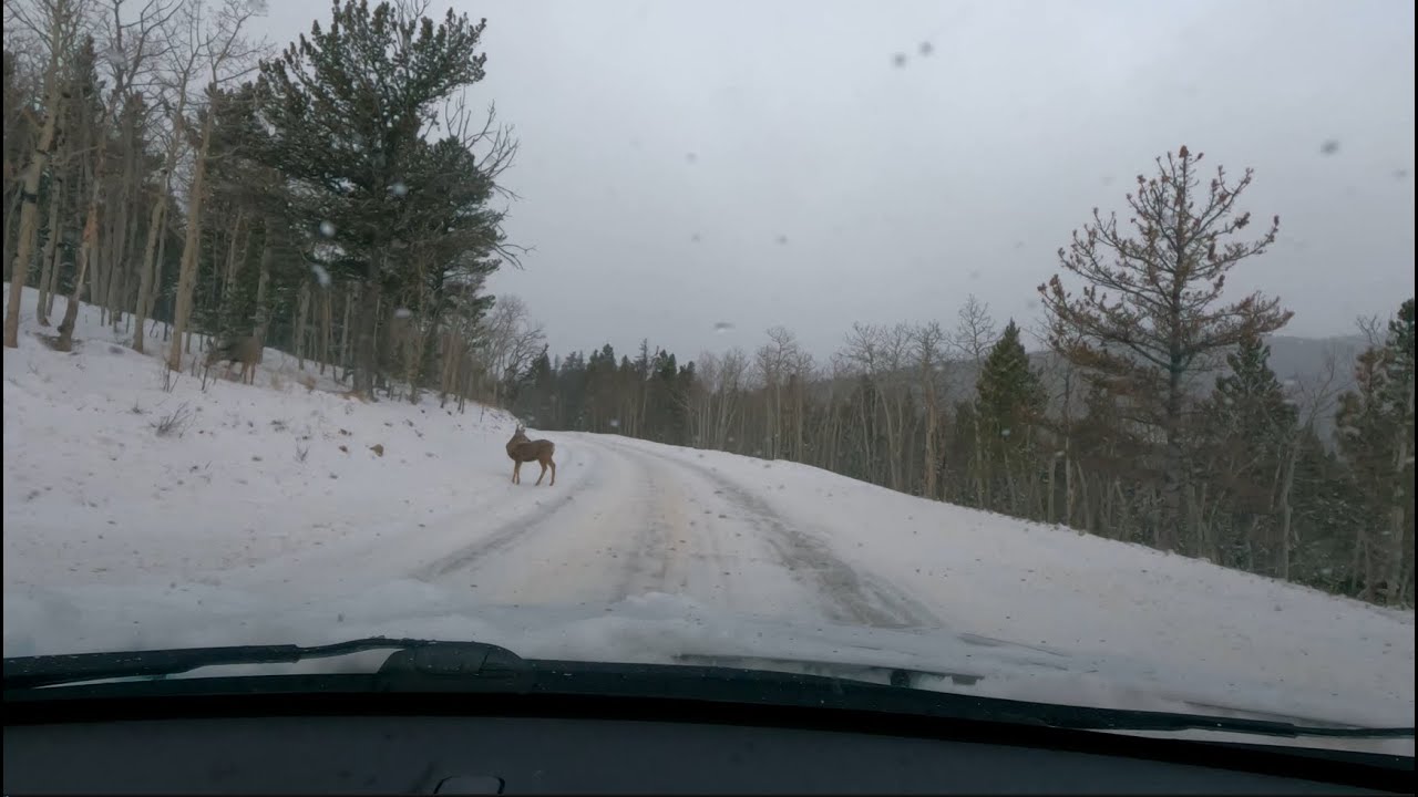 2019 Honda HR-V Mountain Snow Ride