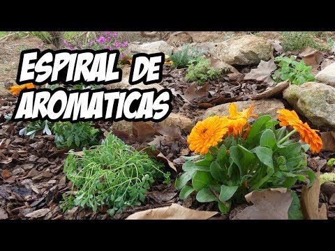 Video: Ideas para un jardín de hierbas en espiral - Cómo cultivar un jardín de hierbas en espiral