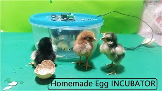DIY-Homemade BOWL EGG INCUBATOR || How to make MINI egg incubator at home