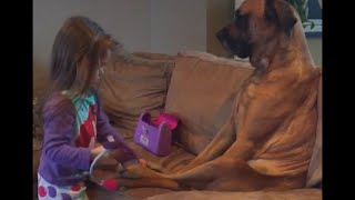 Little Girl Makes Sure her Dog is Healthy(To make sure that her loving dog, Nala, is in perfect health, this aspiring doctor took out her handy dandy medical tools and gave her patient a thorough check ..., 2016-02-24T01:23:30.000Z)