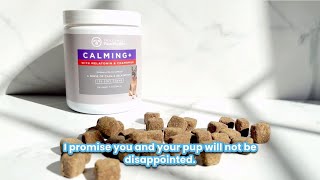 The Calming Revolution: PawMedica's Hidden Elixir for Anxious Dogs!