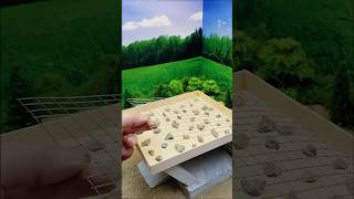 Satisfying Stone Sorting on Grid! 🤯 Perfect Alignmen#ai #diy #easyhouse #viralvideo #miniature
