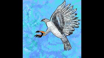 Harpy Eagles - Kidz Learn Applications™