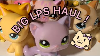 BIG LPS HAULS !! 4 packages + a dreamie :v