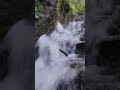 #viral#video @